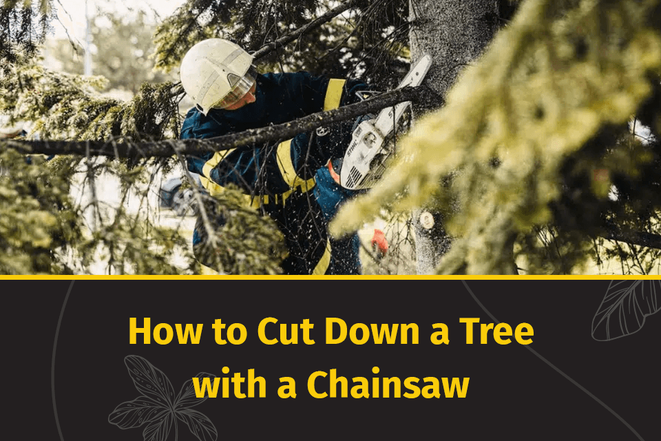 How to Cut Down a Tree with a Chainsaw: Step-by-Step Safety Guide