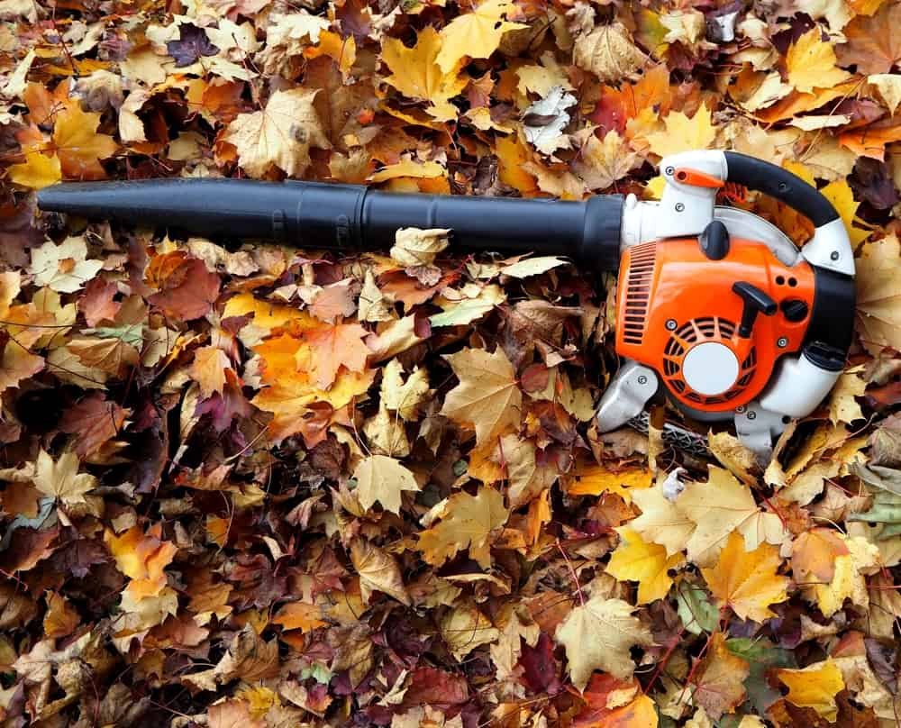 How Does a Leaf Blower Work? A Simple Guide to How Leaf Blowers Operate
