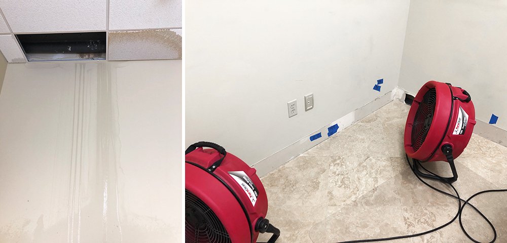Can Drywall Get Wet? What Happens, Risks, and How to Fix It