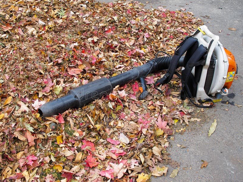 How to Use a Leaf Blower: Step-by-Step Tips for Efficient Yard Cleanup